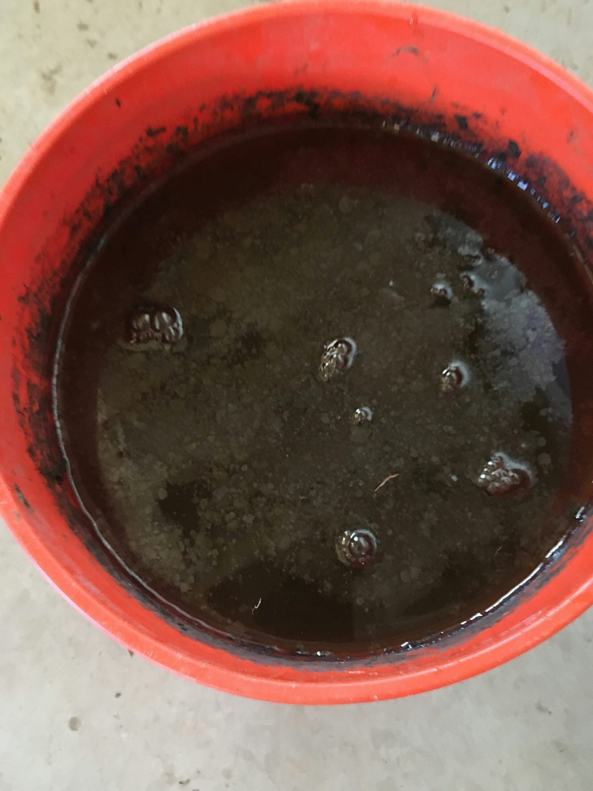 homemade regenerative input for your farm: weed juice or JLF