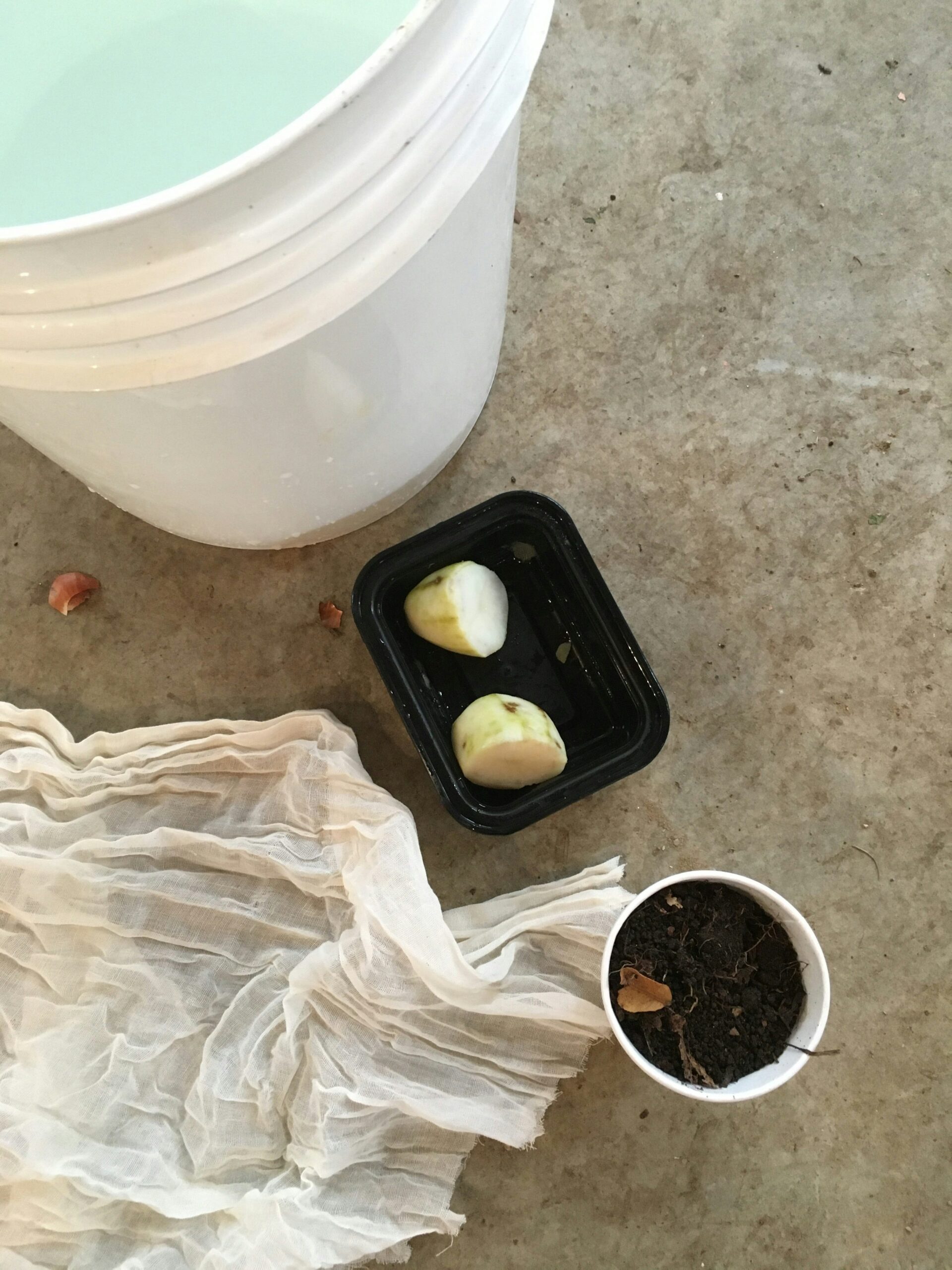 Ingredients for Making Leaf Mold Tea or JMS