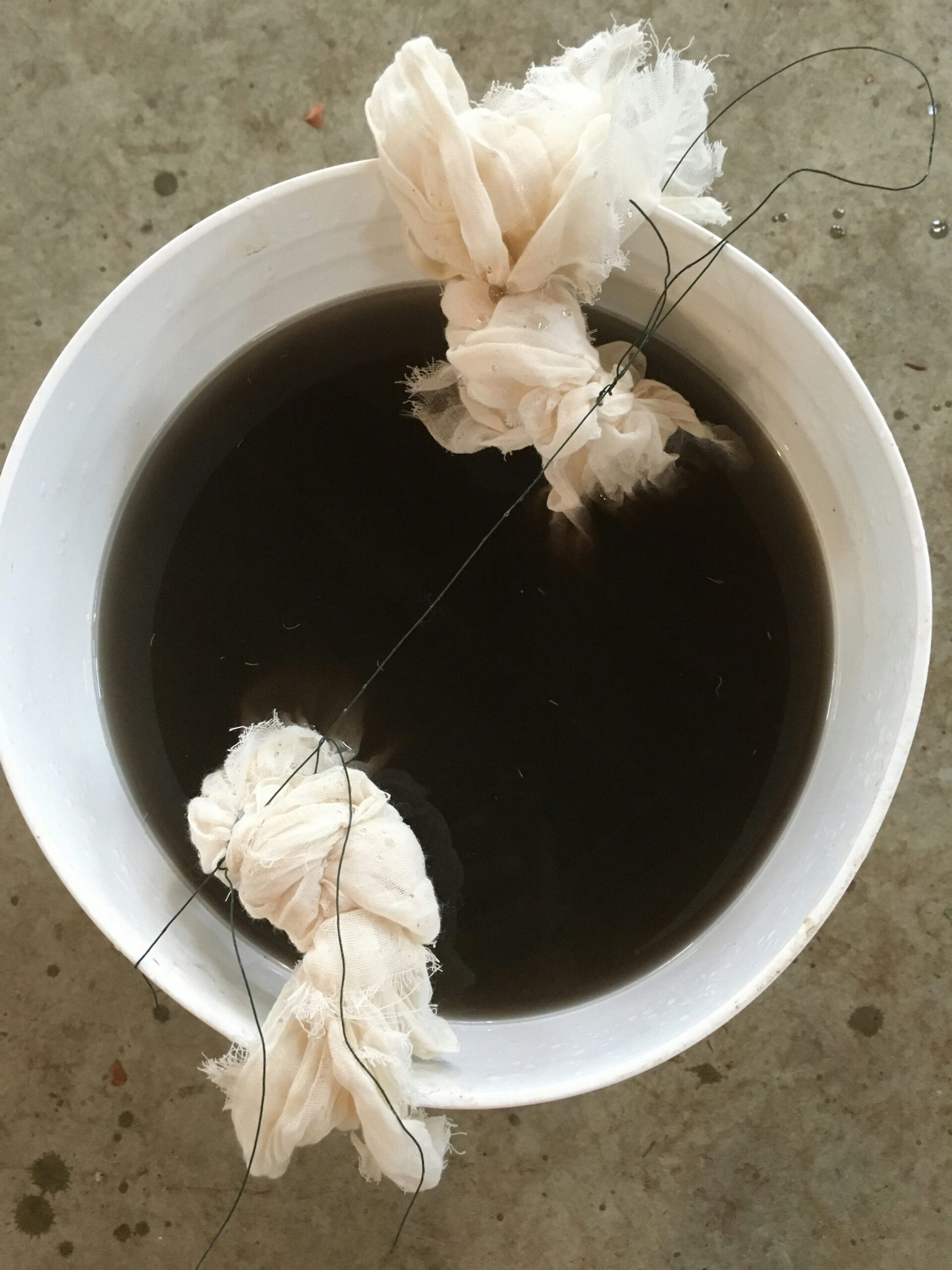 Easy Homemade Regenerative Inputs for Your Farm: Making Leaf Mold Tea or JMS