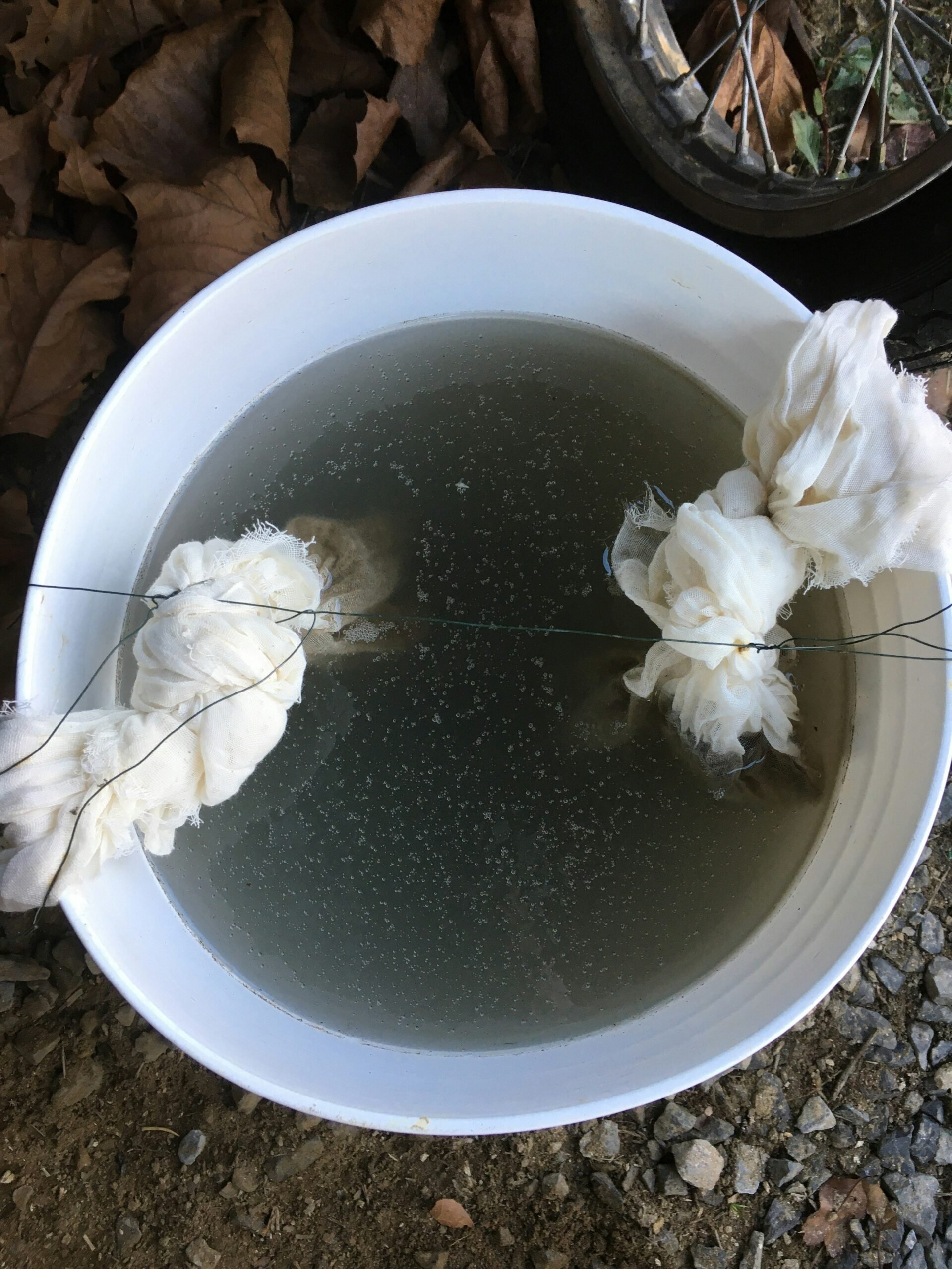 Making Leaf Mold Tea or JMS