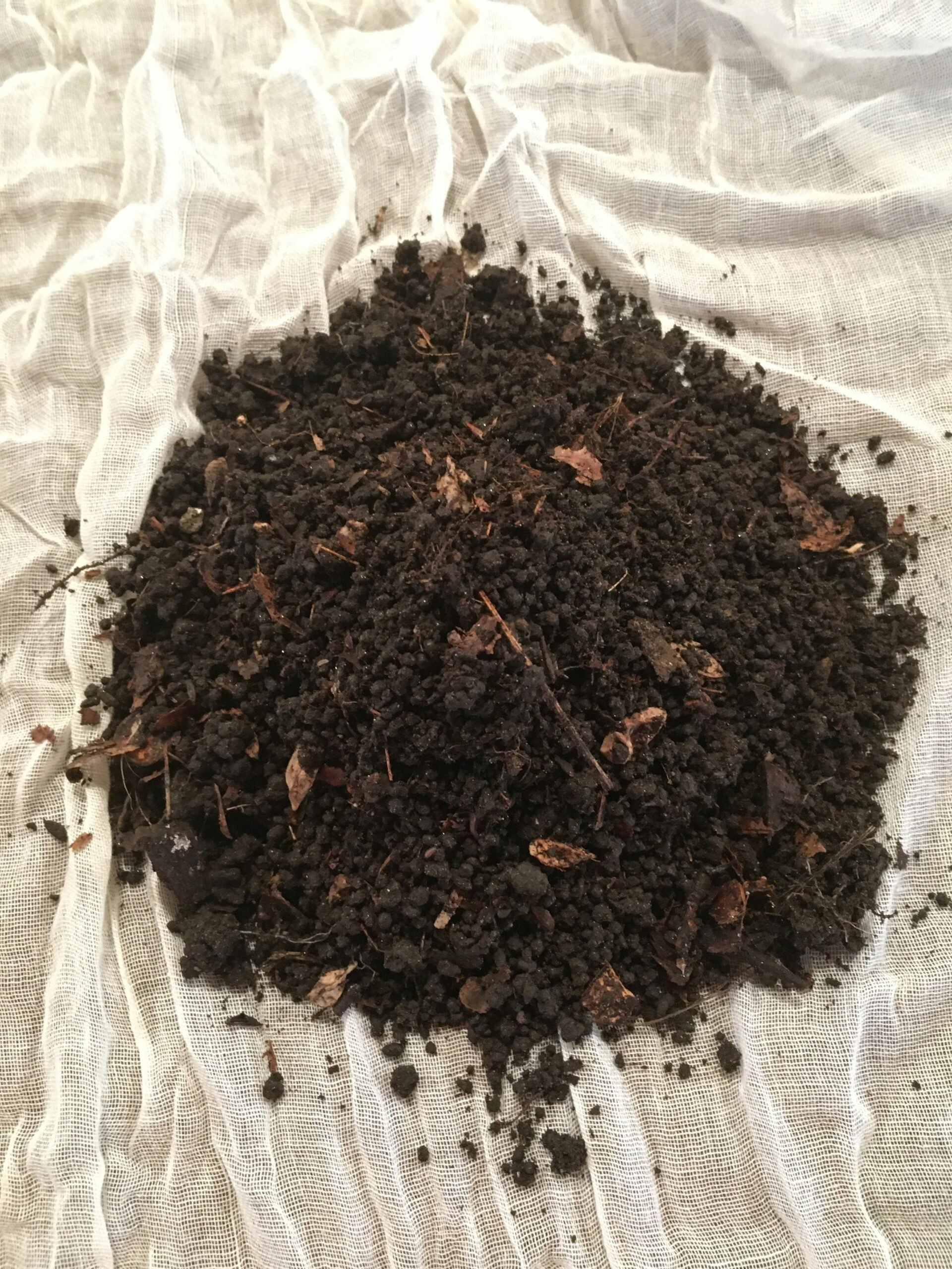 Making Leaf Mold Tea or JMS