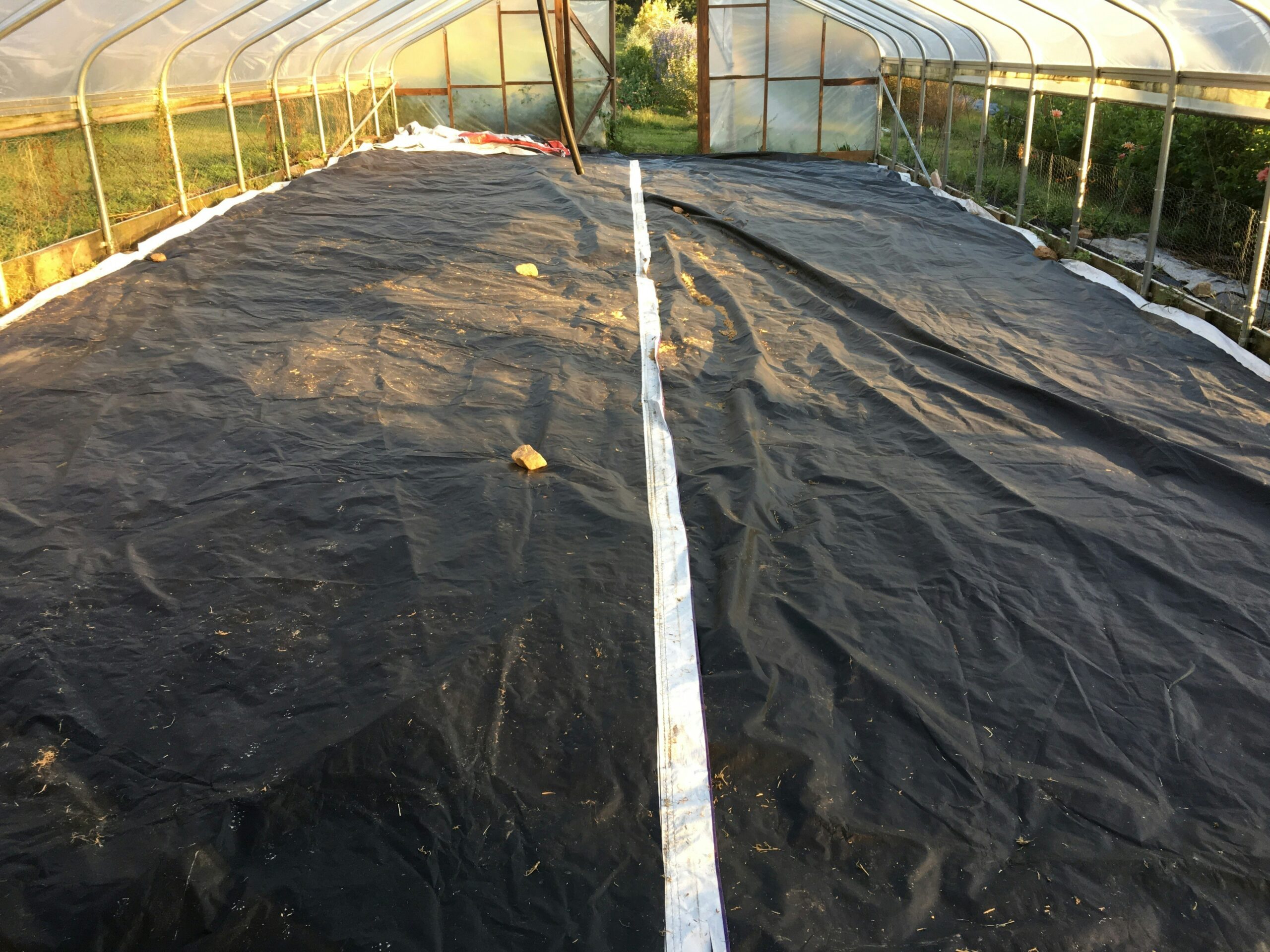 Revitalizing Hoop House Soils: Tarping