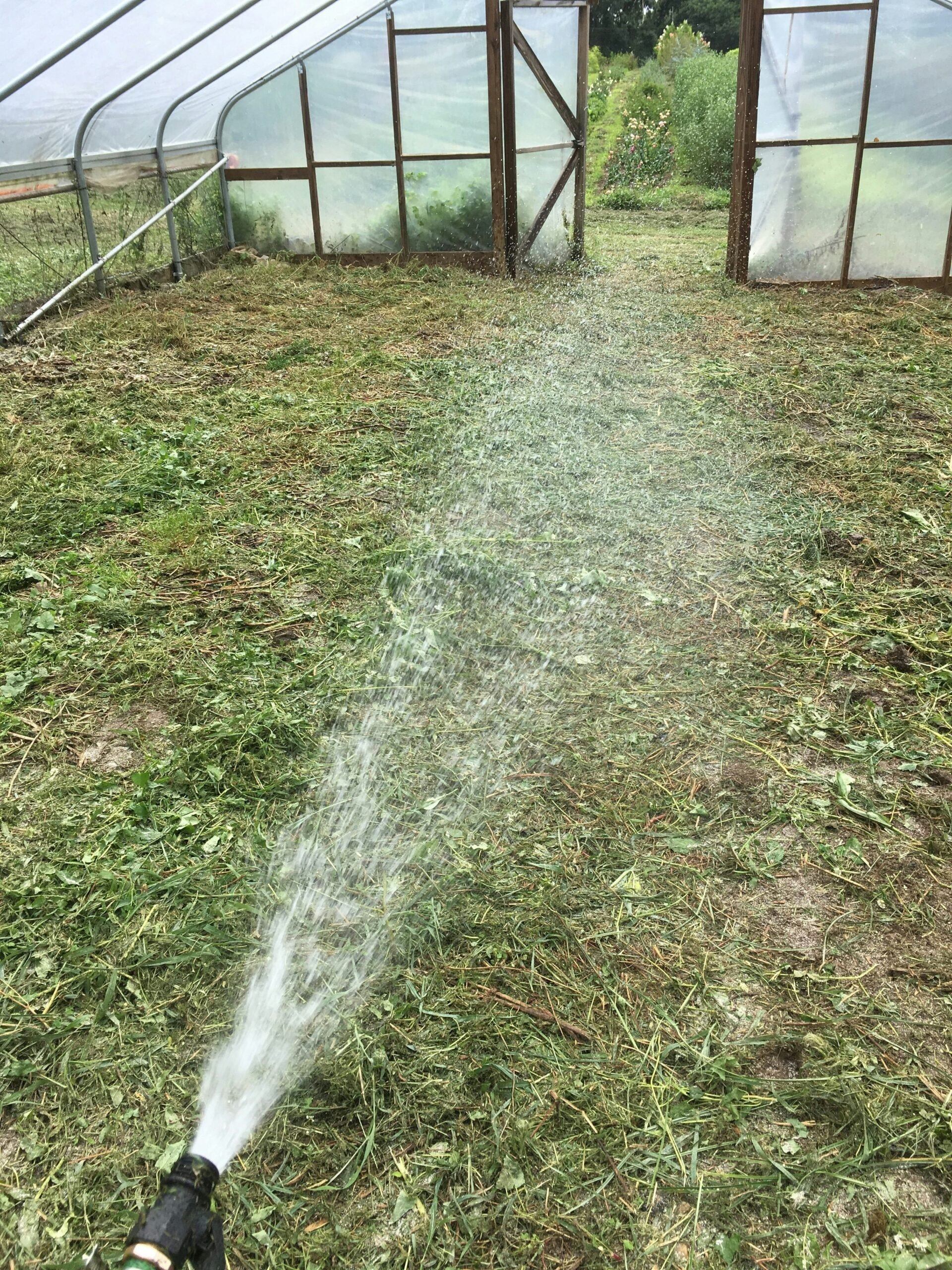 Revitalizing Hoop House Soils: Moistening Crop Debris
